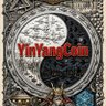YinYangCoin dev. profil fotoğrafı