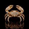 Obasanjo's profile picture