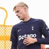 Profilbild von Mustafa Spurs