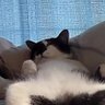 Profilbild von Alex