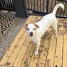 JottheGOAT profil fotoğrafı