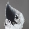 Manomar Umanagid's profile picture