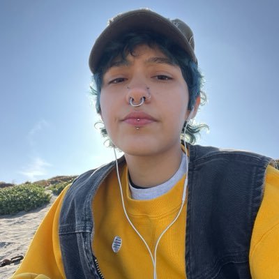 pulga's profile picture