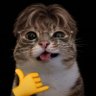 suffix's profile picture