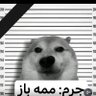 Profilbild von آنژی