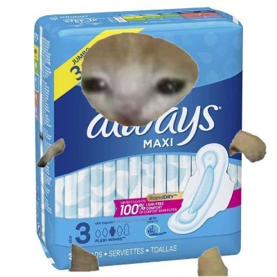 elodiaz1's profile picture