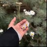 Фото профиля Hana Yahia