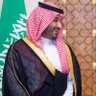Bshayr Alotaibi's profile picture