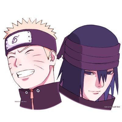 narusasuacervo's profile picture