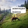 fcgxdfzdfcv b vcbcgfgxb vbcghghc profil fotoğrafı
