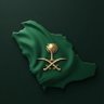 سيدةُ من تميم ⚜️'s profile picture