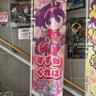 Фото профиля ねこたろー