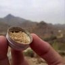 متبردق واصل's profile picture