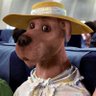 Profilbild von ᵈᵃⁱˢ