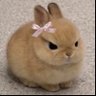 harry's profile picture