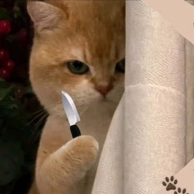 ᴡᴍʏᴍᴏᴍᴇɴᴛ.'s profile picture