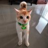 Molly 🐱's profile picture