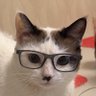 ThiagoCK's profile picture