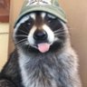 JimeLime's profile picture