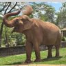 morri no santuario da silva profil fotoğrafı