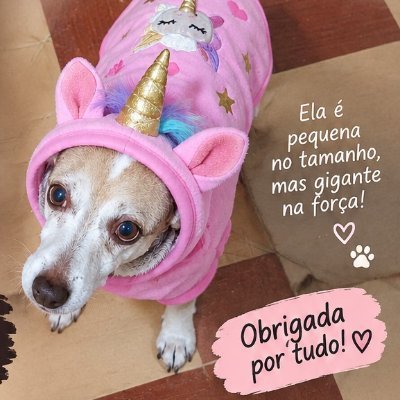 thaiannax's profile picture
