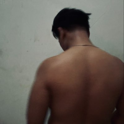 vio's profile picture