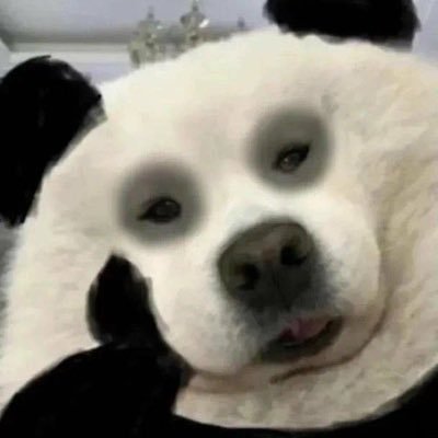 𝐏𝐢𝐭𝐚rℓ•Ⓝ ✿'s profile picture