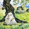 مُصْطَفَى 的头像