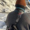 Bärenjude's profile picture