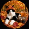 Profilbild von Dennis & Sheeba!