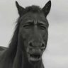 Profilbild von Alan_Marthin