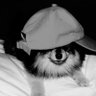 Profilbild von clarinha14