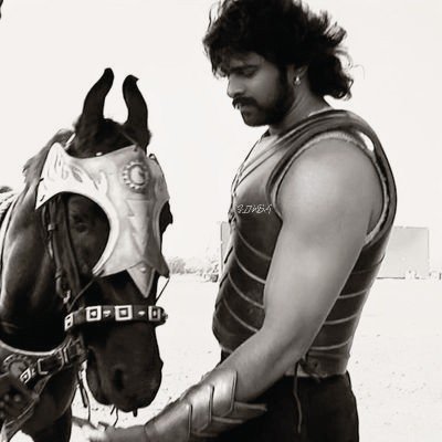 Spirit_Simba's profile picture