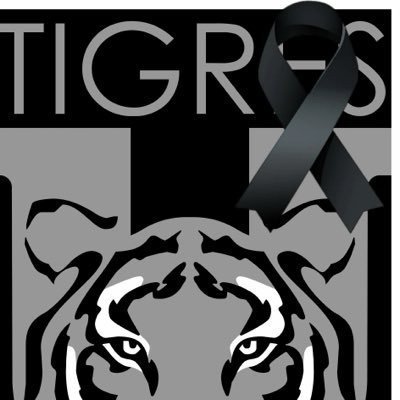 RicardoSanilas's profile picture