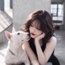 KOUKA|犬の歌's profile picture