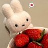 Profilbild von Grace