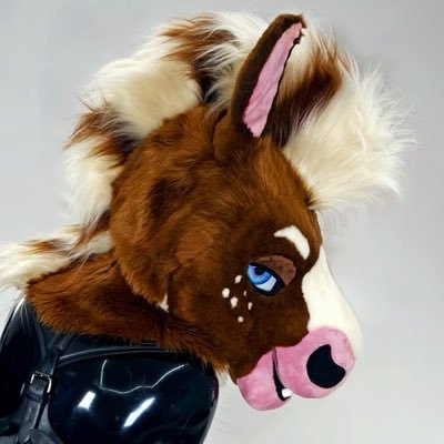 Bailey The Hoss ✨'s profile picture