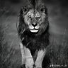 الحضرمي's profile picture