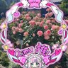 Фото профиля アレクサネバーランド