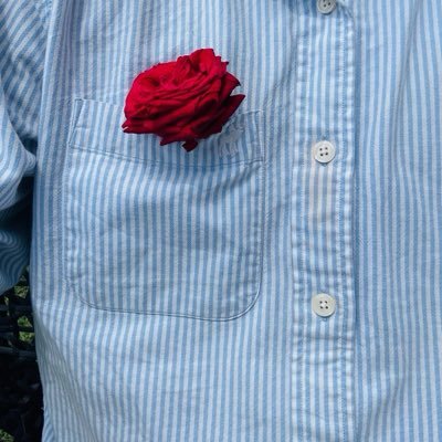 Musht-e-Khak's profile picture