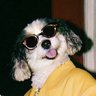 Profilbild von ✶ Mutt ✶