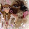 きゃわうそ🐺🩶 的头像