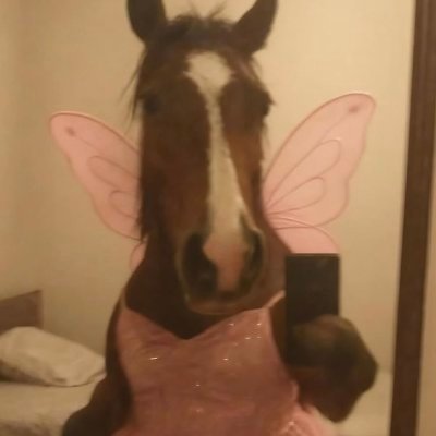 MGICOFF1's profile picture