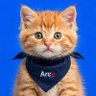 Фото профиля Arcy