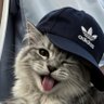 Lucas Lu profil fotoğrafı