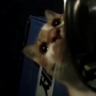 smallshutiao's profile picture