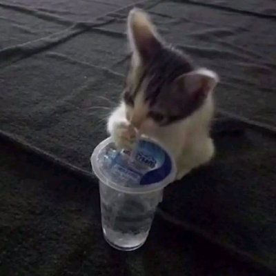 잠꾸's profile picture
