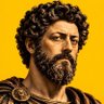 Фото профиля Marcus ₿urelius