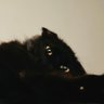 JB JB profil fotoğrafı