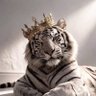 Фото профиля سليمان